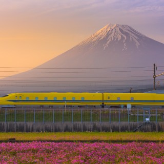 Tokaido Express