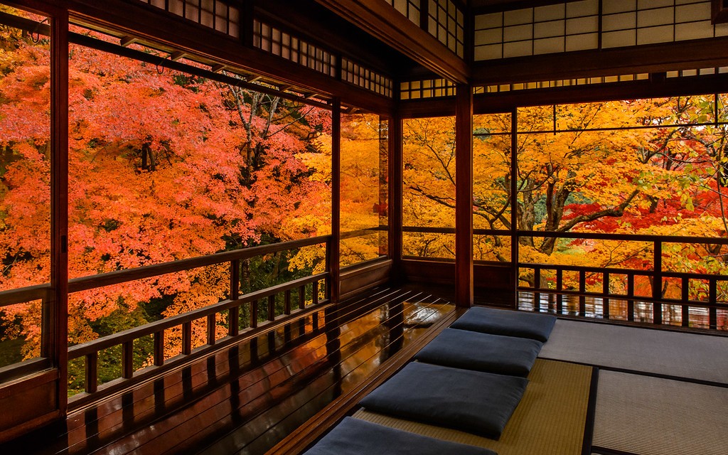 5 Great temples for observing autumn light up in Kyoto 2018